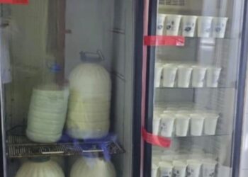 „ამოღებული და დალუქულია მაწონი, ყველი, რძე…“ – თბილისში რძის გადამამუშავებელი არალეგალური საწარმო გამოავლინეს