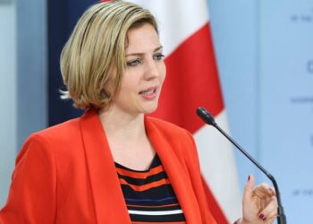 მიიღებს თუ არა ანა დოლიძის პარტია არჩევნებში მონაწილეობას