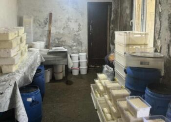 ქობულეთში არარეგისტრირებული რძის გადამამუშავებელი საწარმო გამოავლინეს