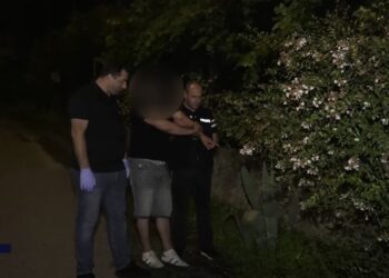 პოლიციამ თბილისსა და რეგიონებში ნარკოდანაშაულის ბრალდებით 11 პირი დააკავა (+ვიდეო)