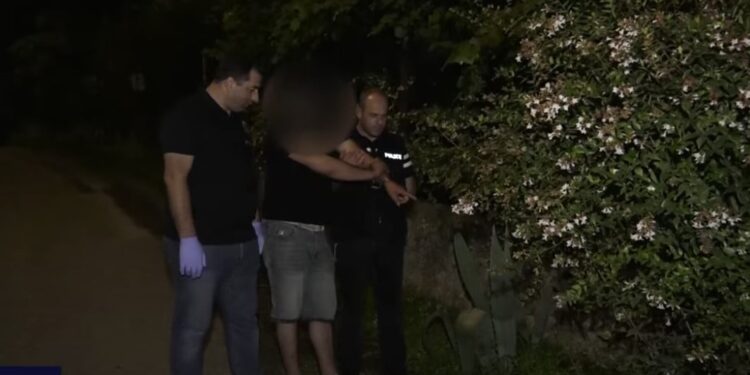 პოლიციამ თბილისსა და რეგიონებში ნარკოდანაშაულის ბრალდებით 11 პირი დააკავა (+ვიდეო)