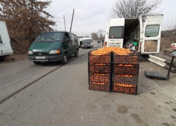 უვადო პატიმრობა მიესაჯა 30 წლის კაცს, რომელმაც 2024 წელს გარდაბანში და მოკლა