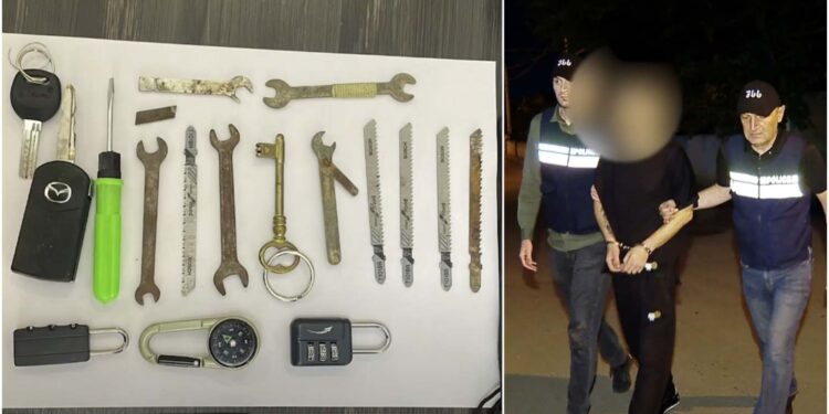 ვიდეო – დააკავეს პირი, რომელმაც ბინიდან ძვირადღირებული ნივთები და 13 000 აშშ დოლარი მოიპარა