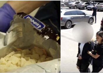 თბილისის აეროპორტში, ბარგის შემოწმებისას, დიდი ოდენობით ნარკოტიკული საშუალებები აღმოაჩინეს (+ვიდეო)