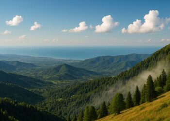 როგორი ამინდი იქნება 10 ივლისს გურიაში