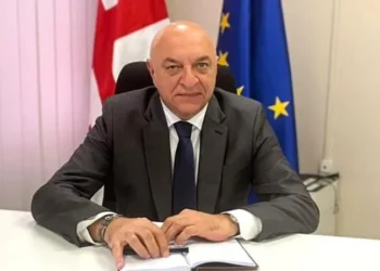 თორნიკე რიჟვაძის საქმეზე, ცეცხლსასროლი იარაღის დაუდევრად შენახვისთვის, საზღვაო ტრანსპორტის სააგენტოს უფროსია დაკავებული