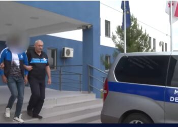 ვიდეო – საქართველოდან უცხო ქვეყნის 28 მოქალაქე გააძევეს