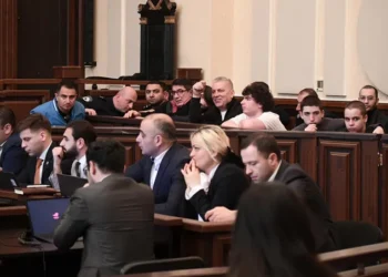 ზვიად ცეცხლაძისა და კიდევ 7 პირის საქმეზე მოწმე პოლიციელი – ვერც დავადასტურებ და ვერც უარვყოფ, რომ მათ მიერ ნასროლი პიროტექნიკით ვარ დაზიანებული – რაც არ დამინახავს, იმას ვერ ვიტყვი