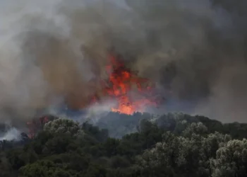 თურქეთში ტყის ხანძრებს ორი ადამიანი ემსხვერპლა
