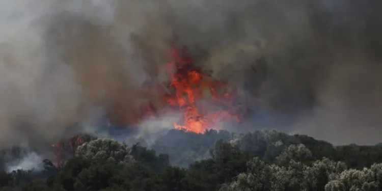 თურქეთში ტყის ხანძრებს ორი ადამიანი ემსხვერპლა