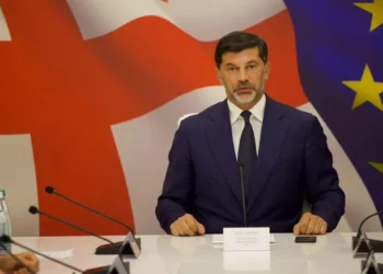 თბილისში წესრიგის დასაცავად მოტოინსპექცია ამოქმედდება