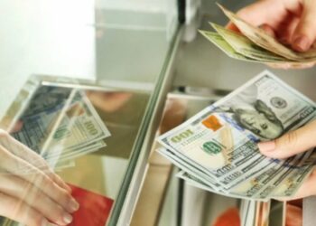 რა ეღირება დღეს დოლარი, ევრო და სხვა ვალუტები?