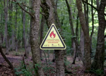 ტემპერატურის მატება ტყეში ხანძრების გაჩენის რისკს ზრდის – მოვუწოდებთ მოსახლეობას განსაკუთრებული სიფრთხილე გამოიჩინონ