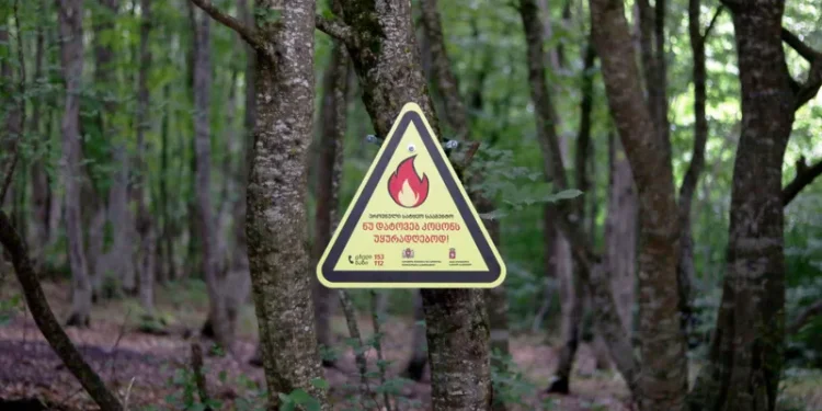 ტემპერატურის მატება ტყეში ხანძრების გაჩენის რისკს ზრდის – მოვუწოდებთ მოსახლეობას განსაკუთრებული სიფრთხილე გამოიჩინონ
