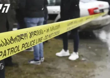 2024 წელს ავარიის შედეგად 101 ქვეითი გარდაიცვალა, 2025 წლის პირველ კვარტალში კი – 50