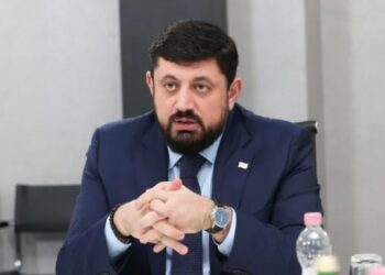 ”მამხილებელი შეიძლება იყოს ნებისმიერი პირი” – საჯარო სამსახურებისთვის მამხილებლის ინსტიტუტი მკვიდრდება