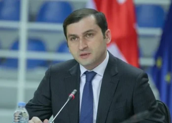 გულმკერდის არეში ცეცხლნასროლი ჭრილობა აღენიშნებოდა – თორნიკე რიჟვაძის დაჭრასთან დაკავშირებით შსს განცხადებას ავრცელებს