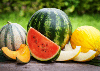 იმპორტირებული საზამთროს 94% ირანულია – სად ვყიდულობთ ნესვს