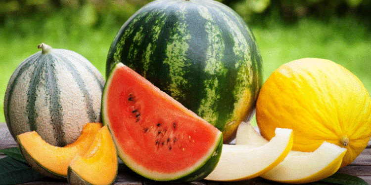 იმპორტირებული საზამთროს 94% ირანულია – სად ვყიდულობთ ნესვს