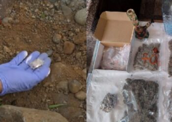 აჭარაში განსაკუთრებით დიდი ოდენობით “მარიხუანა” ამოიღეს