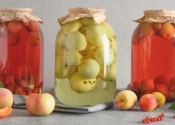 „კომპოტი არ არის ჯანსაღი პროდუქტი – დუღილის დროს ხილში კვდება ყველა ის სასარგებლო თვისება, რაც შეიძლება გააჩნდეს“