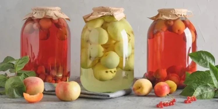 „კომპოტი არ არის ჯანსაღი პროდუქტი – დუღილის დროს ხილში კვდება ყველა ის სასარგებლო თვისება, რაც შეიძლება გააჩნდეს“