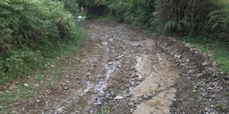 სოფელ ნაღობილევში მოქალაქეები გზის დაგებას ითხოვენ, რომ მოძრაობა შეძლონ