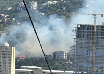 თბილისში, ბაგების ტერიტორიაზე ხანძარია