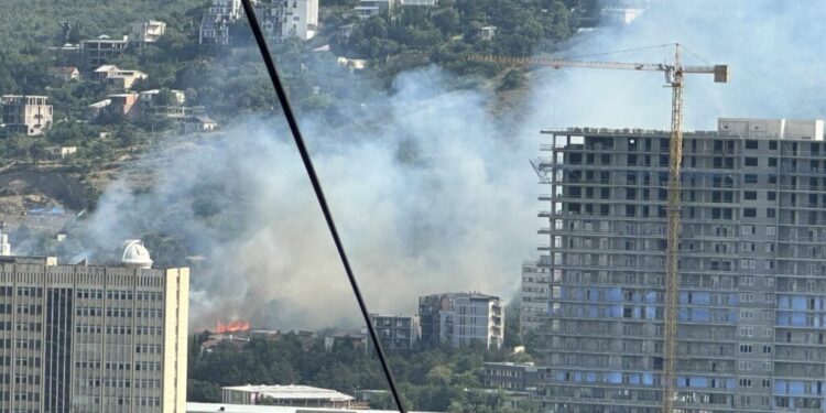 თბილისში, ბაგების ტერიტორიაზე ხანძარია
