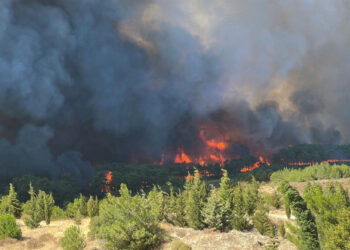 თურქეთში მასშტაბურ ტყის ხანძარს ებრძვიან, ასობით ადამიანი ევაკუირებულია, არიან დაშავებულები