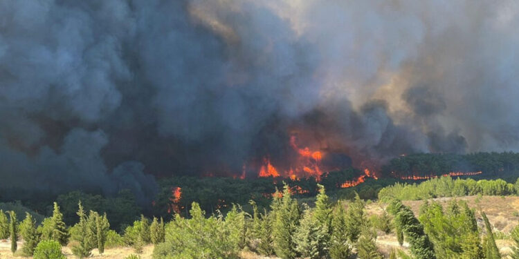 თურქეთში მასშტაბურ ტყის ხანძარს ებრძვიან, ასობით ადამიანი ევაკუირებულია, არიან დაშავებულები
