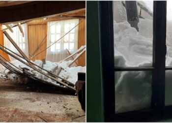 თებერვლის დიდთოვლობა გურიაში – რას ითხოვს მოსახლეობა და რას აკეთებს მთავრობა