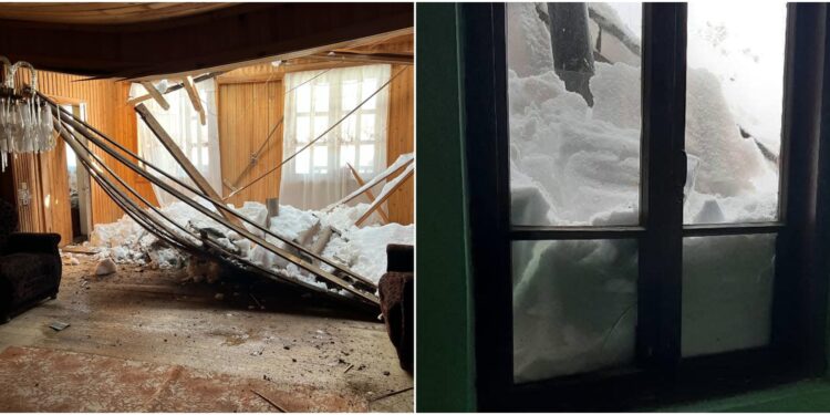 თებერვლის დიდთოვლობა გურიაში – რას ითხოვს მოსახლეობა და რას აკეთებს მთავრობა