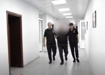 აჭარაში, ინტერპოლის წითელი ცირკულარით ძებნილი თურქეთის მოქალაქე დააკავეს