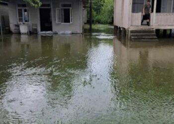 სტიქია სამეგრელოში – ძლიერმა წვიმამ სახლები დატბორა