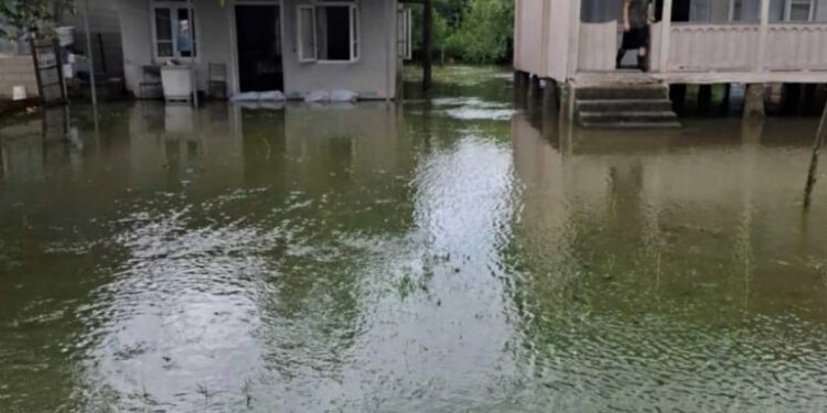 სტიქია სამეგრელოში – ძლიერმა წვიმამ სახლები დატბორა