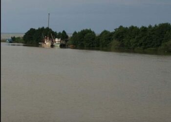გურიაში, მდინარე სუფსაში მაშველები 15 წლის მოზარდს ეძებენ