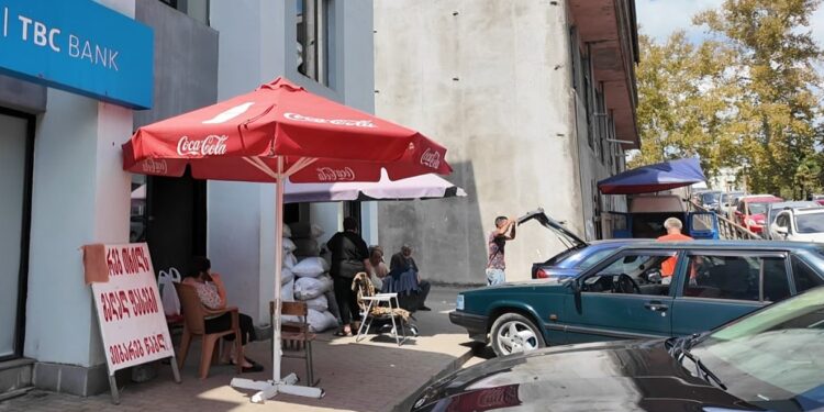 თხილის ფასები ოზურგეთში – რა ვითარებაა ადგილობრივ ბაზარზე