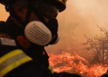 საბერძნეთში, ათენთან ახლოს გაჩენილ ტყის ხანძარს სამი ადამიანი ემსხვერპლა