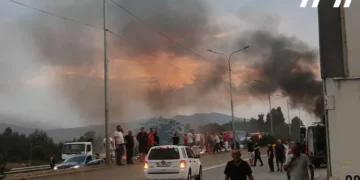 ავტომაგისტრალზე ავტომანქანა იწვი