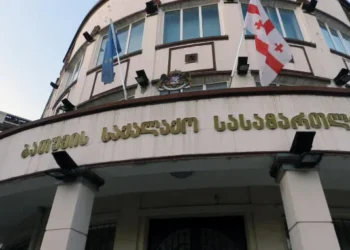 მზია ამაღლობელის პროცესს ევროკავშირის, საფრანგეთის, შვედეთის, გერმანიის, ჩეხეთის, ნიდერლანდების, პოლონეთისა და ლიეტუვას საელჩოს წარმომადგენლები, ასევე აქციებზე დაკავებული პირების მშობლებიც ესწრებიან