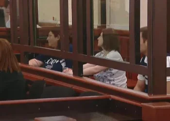 სასამართლოში ნინო დათაშვილის პროცესი მიმდინარეობს – სასამართლო პროცესზე იმყოფებიან გერმანიის, დანიის, ნიდერლანდებისა და ევროკავშირის საელჩოს წარმომადგენლები