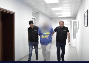 აჭარაში ინტერპოლის მიერ წითელი ცირკულარით ძებნილი პირი დააკავა