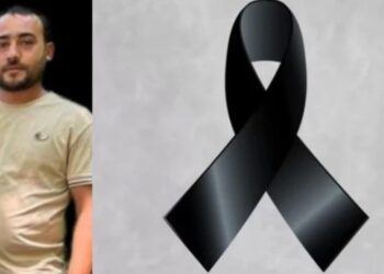 ფუტკრის ნაკბენმა ახალგაზრდა კაცი იმსხვერპლა