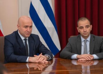 გიორგი ცინცაძე ბათუმის მერის მოვალეობის შემსრულებლად დაინიშნა