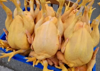 ქართული, მოყვითალო ფერის, ნედლი ქათამი სინამდვილეში შეღებილია: “ქათმის საკვებში ყვითელ, სინთეზურ პიგმენტს ურევენ, რომელიც ფრინველის კანს შესამჩნევად აყვითლებს”