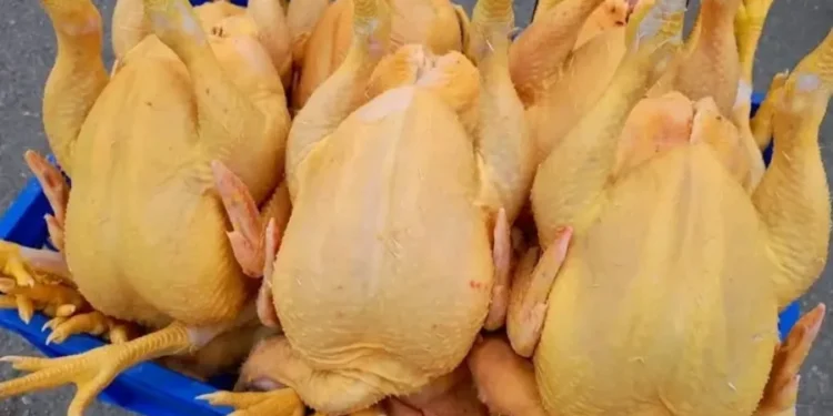 ქართული, მოყვითალო ფერის, ნედლი ქათამი სინამდვილეში შეღებილია: “ქათმის საკვებში ყვითელ, სინთეზურ პიგმენტს ურევენ, რომელიც ფრინველის კანს შესამჩნევად აყვითლებს”