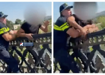 პოლიციელებმა გადაარჩინეს კაცი, რომელიც ხიდიდან ხტებოდა [video]