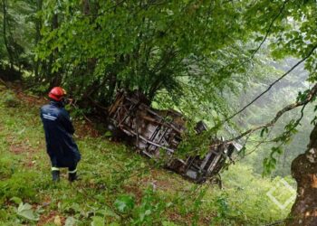 აჭარაში, ავტოსაზგაო შემთხვევის შედეგად, ქალი გარდაიცვალა, მისი მეუღლე კი მძიმედ დაშავდა