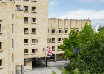 5 არასამთავრობო ორგანიზაციის საბანკო ანგარიშებს ყადაღა დაედო